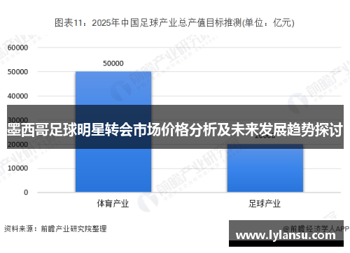 墨西哥足球明星转会市场价格分析及未来发展趋势探讨