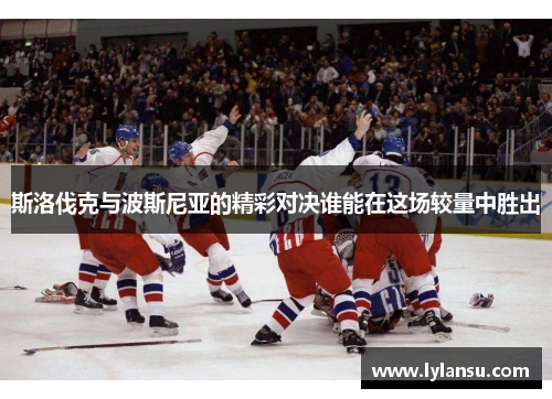 斯洛伐克与波斯尼亚的精彩对决谁能在这场较量中胜出